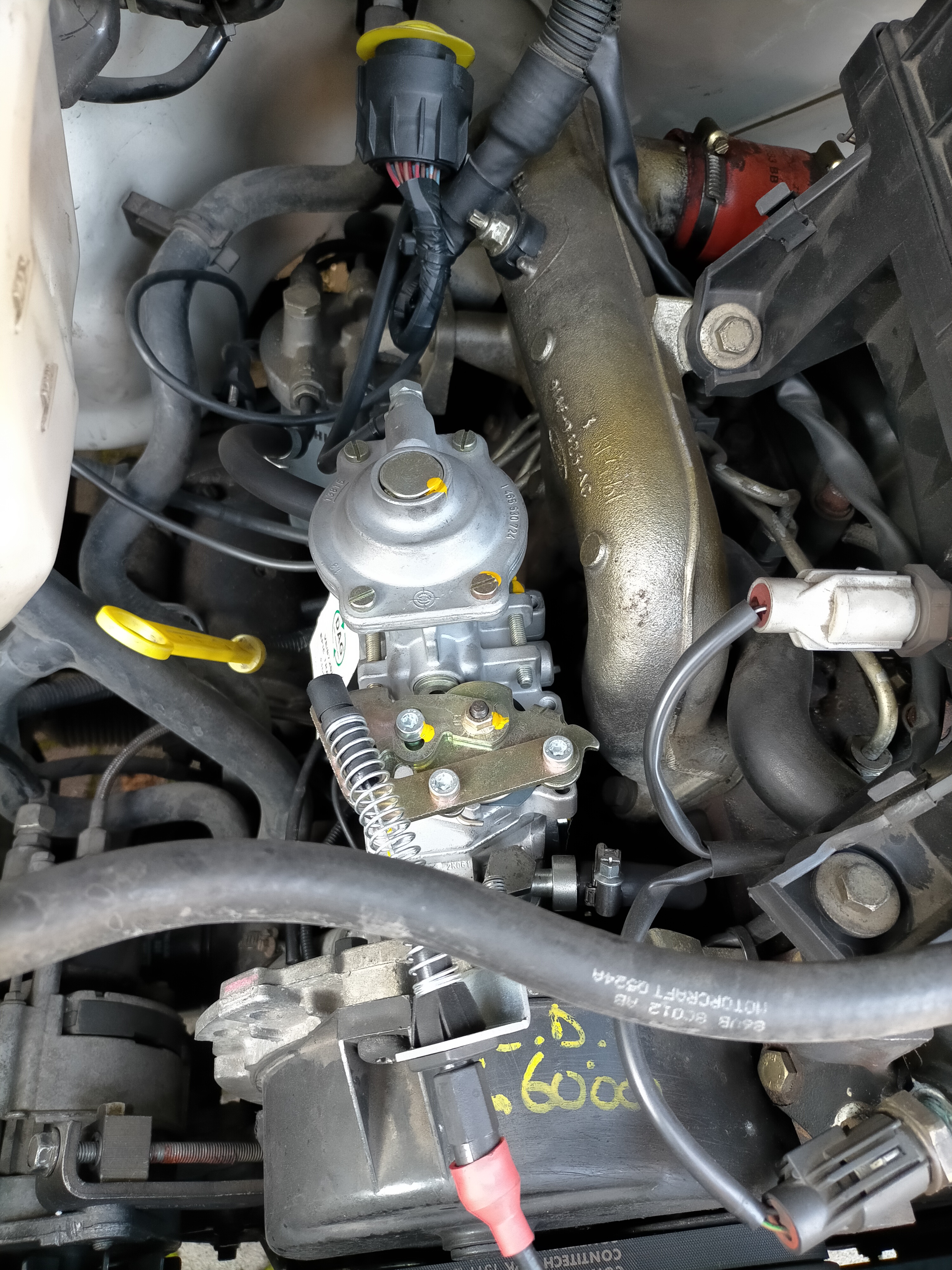 USATO Camper Laika Ecovip 4 su Ford Transit - immagine 39